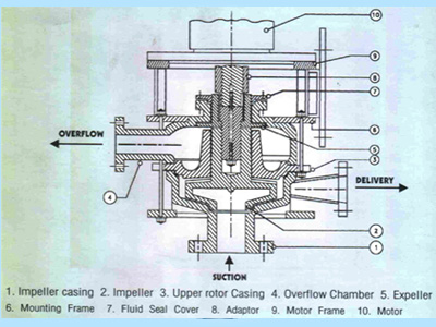 Glandless Pumps