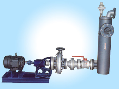 Glandless Pumps